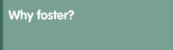 Why Foster